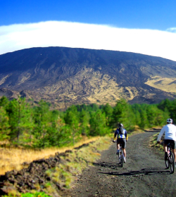 Agenzia/operatore Turistico Sicily Bike Tourist Service